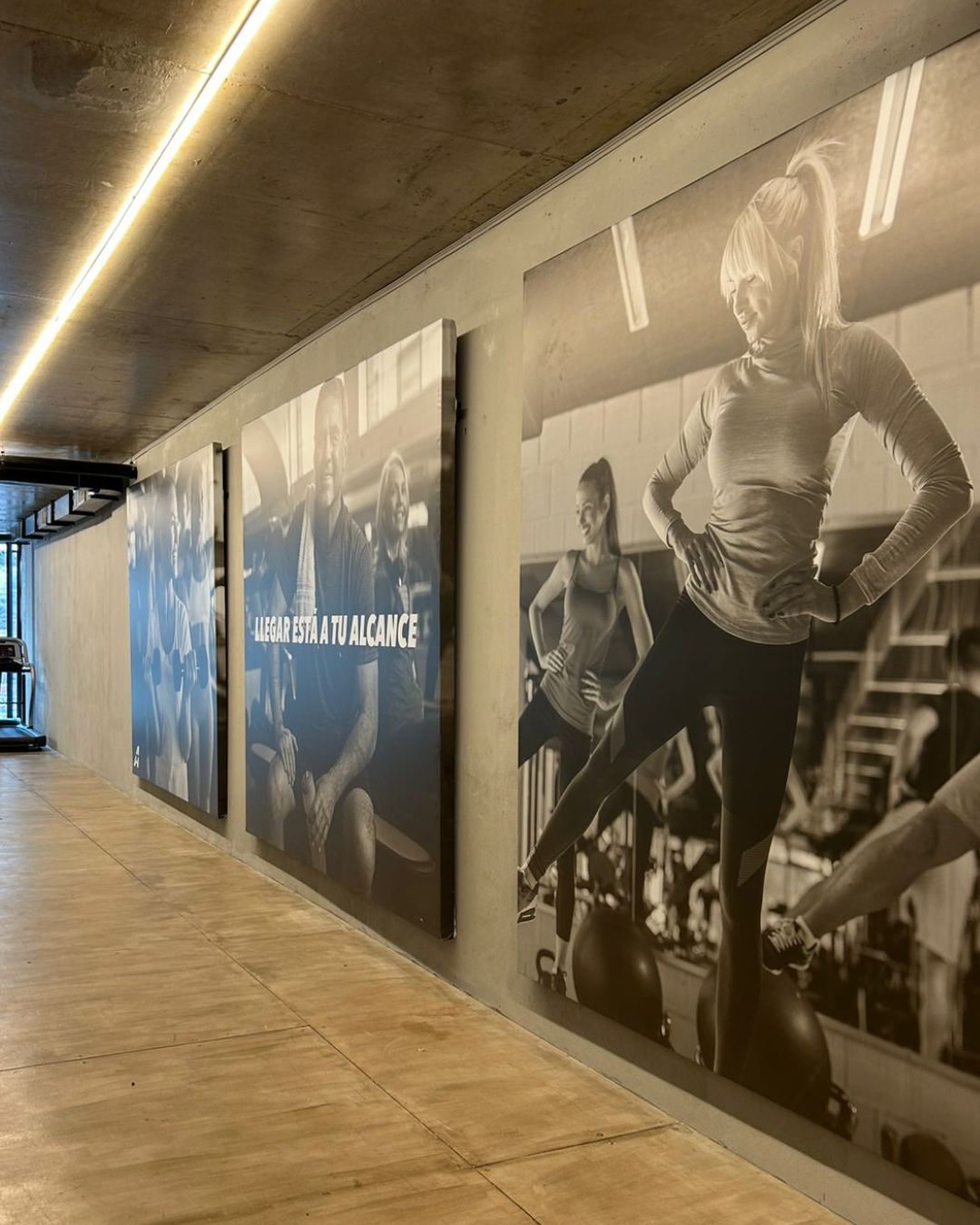 Image hover effect image